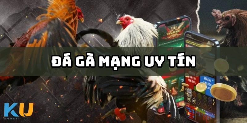 da ga mang uy tin